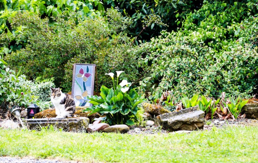 Location de vacances - Gîte à Madiran - Gardens