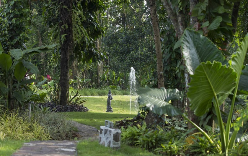 Location de vacances - Villa à Ubud