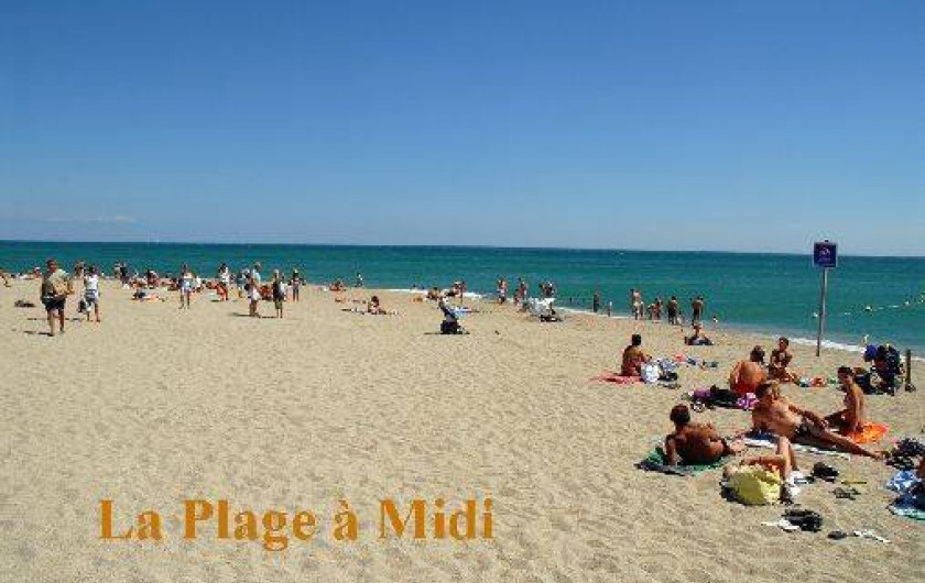 Location de vacances - Appartement à Argelès-sur-Mer - La plage à midi