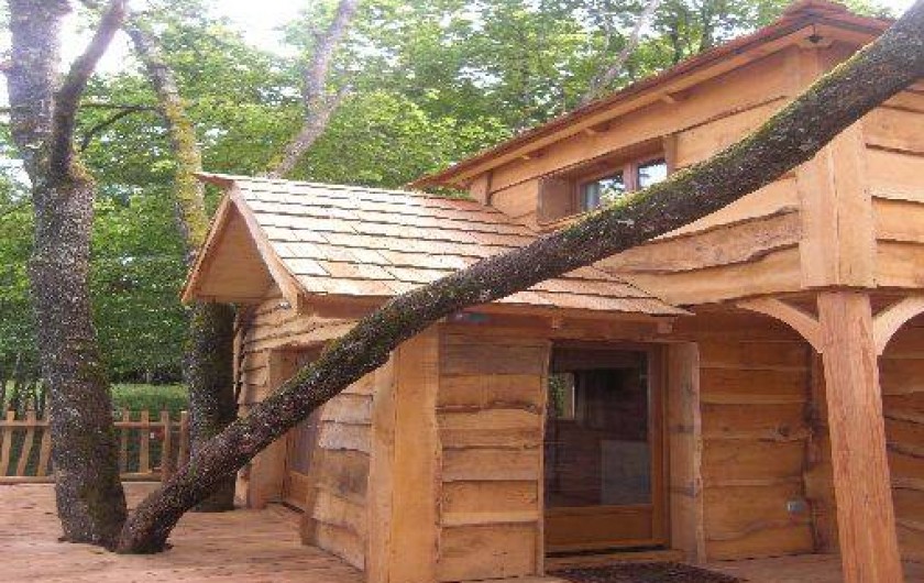 Location de vacances - Cabane dans les arbres à Monsac