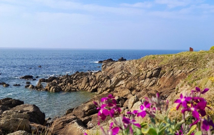 Location de vacances - Maison - Villa à Plozévet