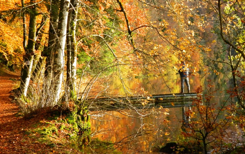 Location de vacances - Gîte à Baume-les-Messieurs - Lac de BONLIEU : randonnées en automne.