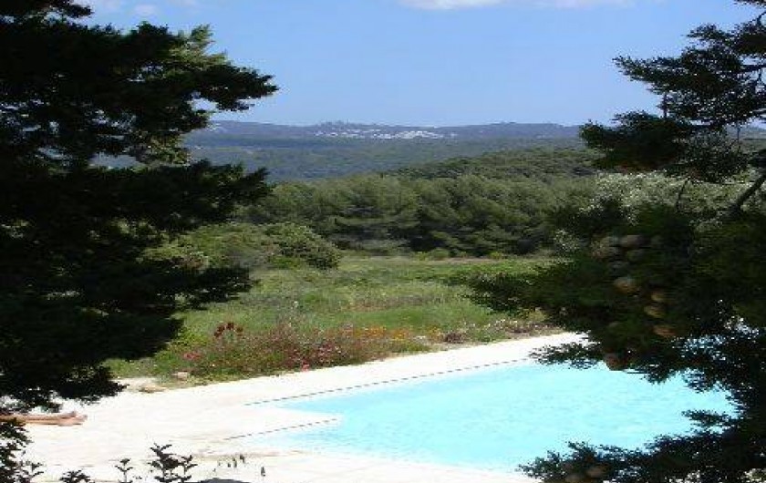 Location de vacances - Gîte à Le Beausset - une piscine au milieu de la nature....et les collines au loin