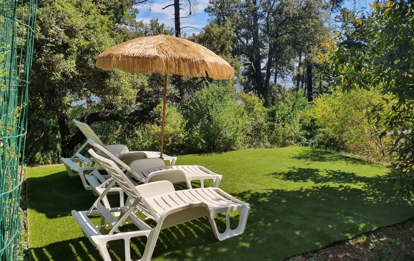 Location de vacances - Bungalow - Mobilhome à Cannes - Solarium