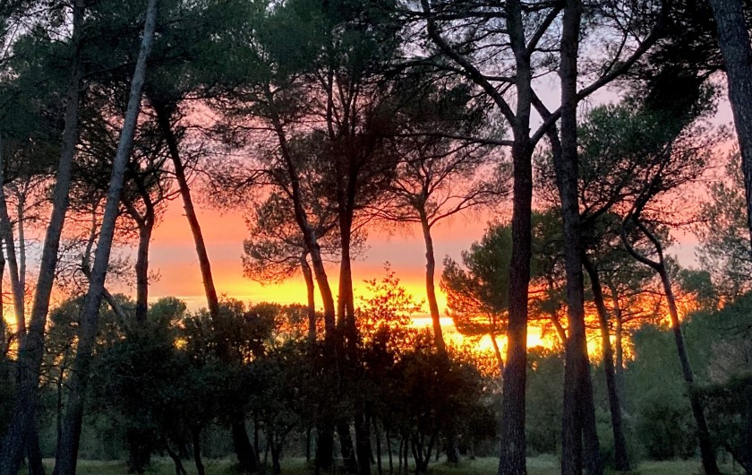 Location de vacances - Villa à Aix-en-Provence - coucher de soleil