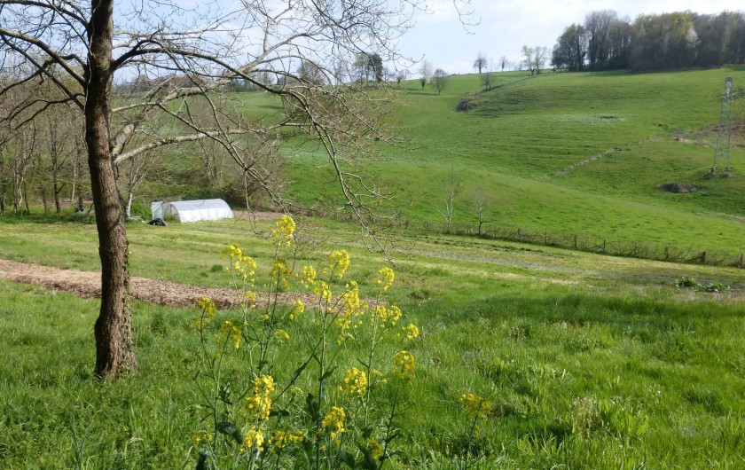 Location de vacances - Gîte à Saint-Hilaire-Peyroux - notre champ en permaculture (ni engrais ni pesticide)