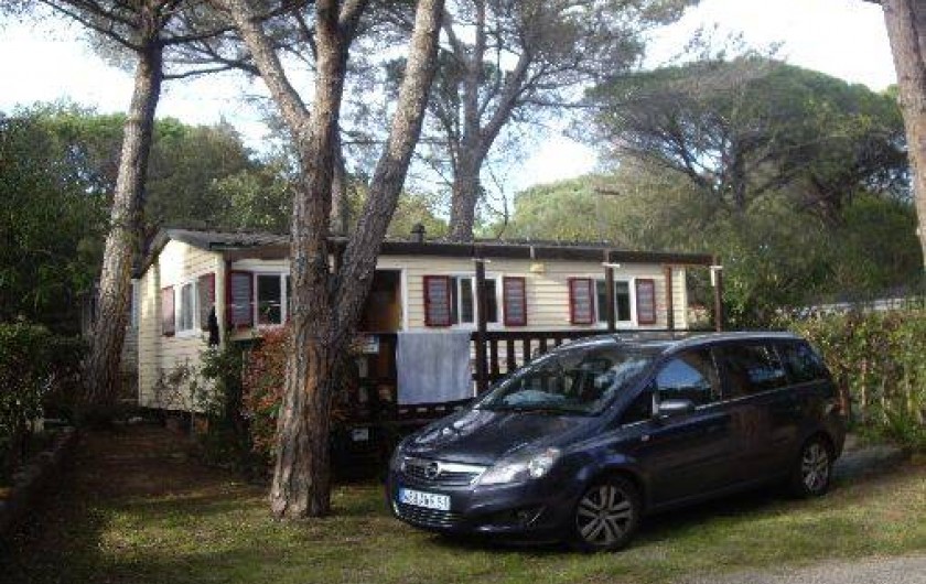 Location de vacances - Camping à Fréjus