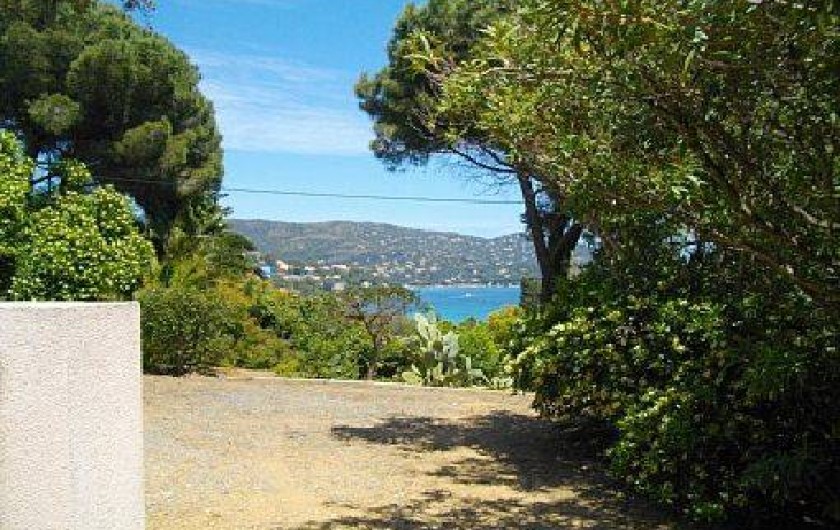 Location de vacances - Villa à Le Lavandou