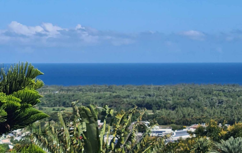 Location de vacances - Bungalow - Mobilhome à L'Étang-Salé - VUE IMPRENABLE DEPUIS LA TERRASSE DU VETIBUNGA