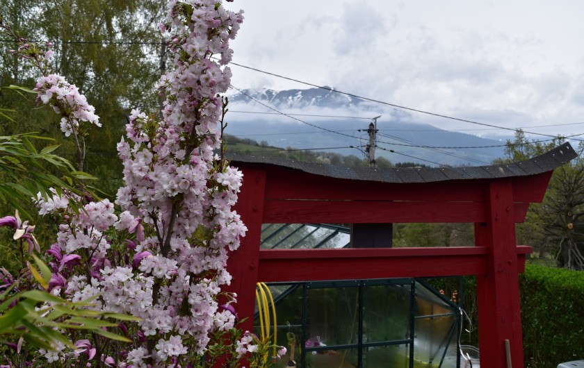 Location de vacances - Villa à Pierre-Châtel - Torii et cerisier du Japon