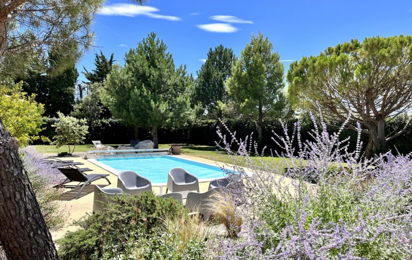 Location de vacances - Villa à Pernes-les-Fontaines - Extérieur