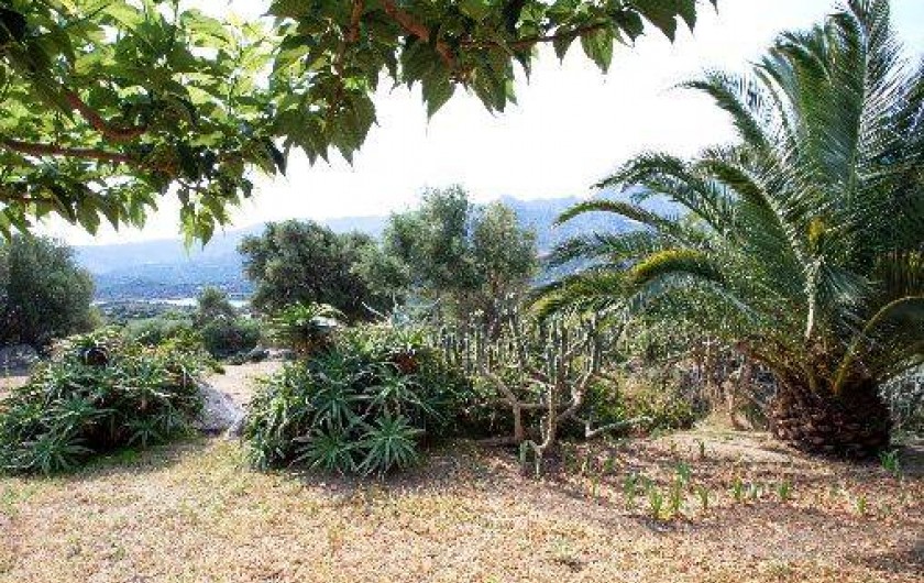 Location de vacances - Villa à Santa-Reparata-Di-Balagna