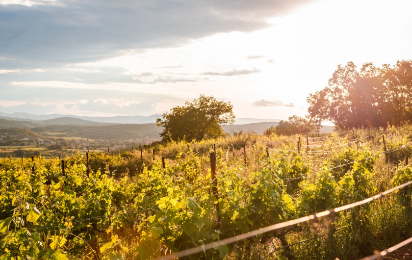 Location de vacances - Maison - Villa à Pézenas