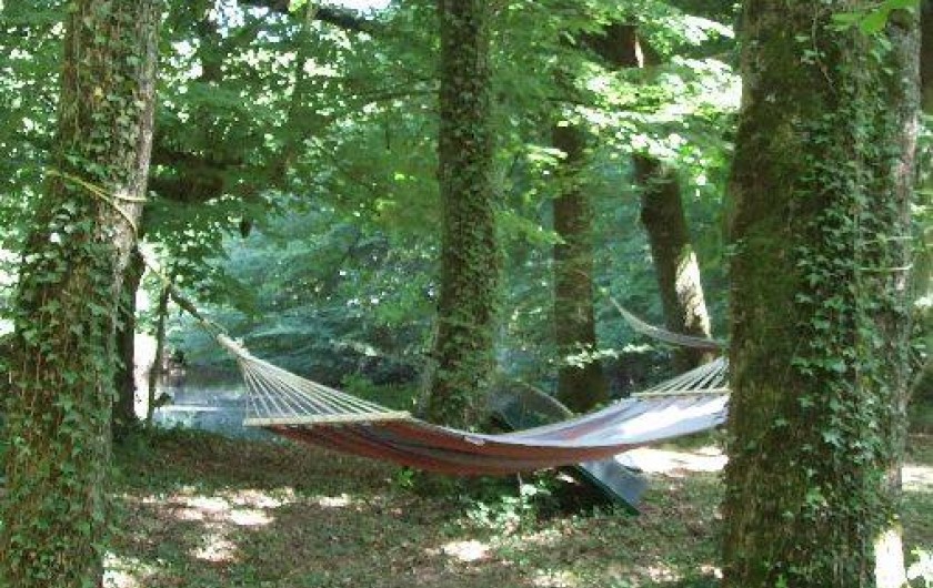 Location de vacances - Maison - Villa à Franchesse - Un coin de sieste sous la clairière