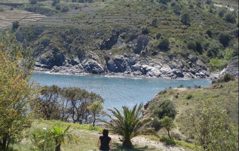 Location de vacances - Appartement à Cerbère - Mer et nature méditerranéenne. Crique au pied de l'appartement