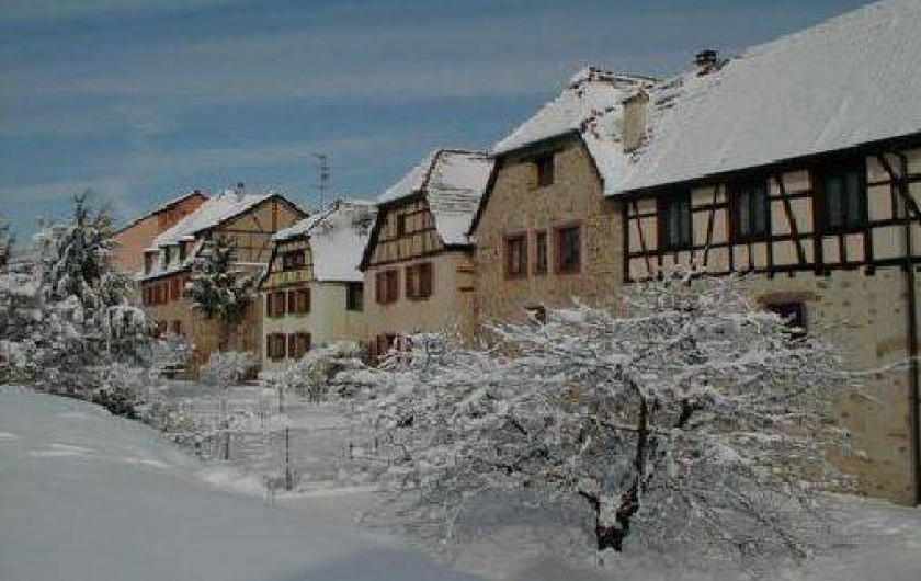 Location de vacances - Gîte à Bergheim - nos maisons sur les remparts