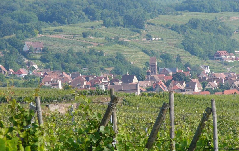 Location de vacances - Gîte à Gueberschwihr - Gueberschwihr sur la route des vins d'Alsace, village niché à flanc de coteaux