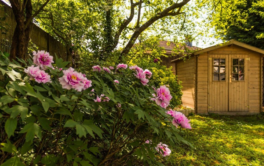 Location de vacances - Chambre d'hôtes à Sélestat - le jardin