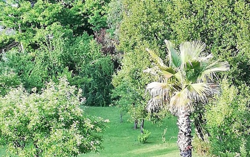 Location de vacances - Chambre d'hôtes à Salies-de-Béarn - vue sur la jardin