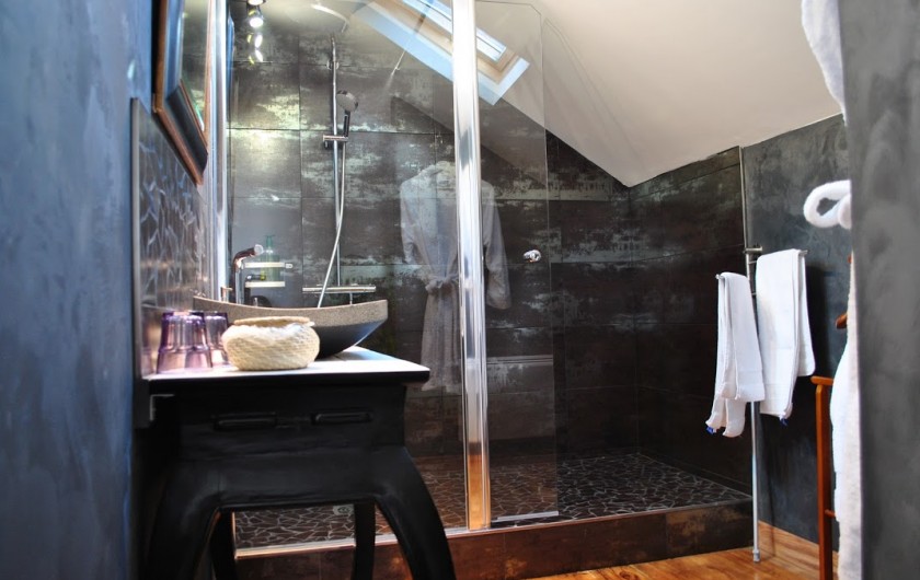 Location de vacances - Chambre d'hôtes à Salies-de-Béarn - salle de bain chambre suite