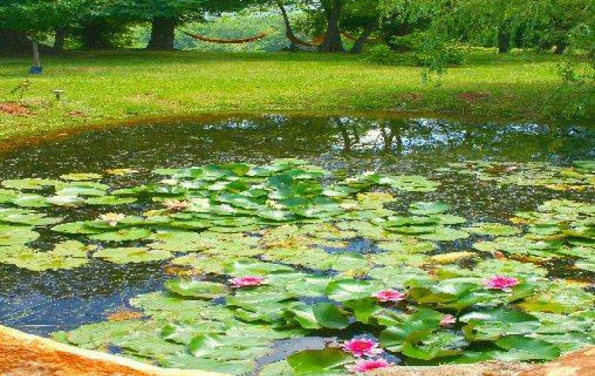 Location de vacances - Villa à Simeyrols - Petite marre peu profonde et Hamacs dans le jardin avec vue sur la vallée