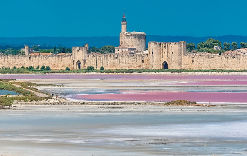 Location de vacances - Gîte à Arles - Les rempart de la cité de st Louis : Aigues Mortes
