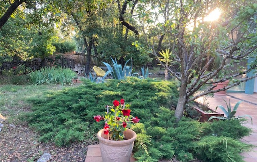 Location de vacances - Maison - Villa à Arpaillargues-et-Aureillac - jardin-terrasse sud