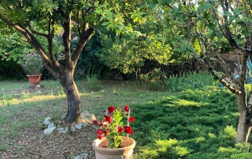 Location de vacances - Maison - Villa à Arpaillargues-et-Aureillac - jardin sud