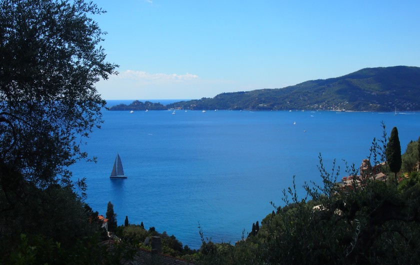 Location de vacances - Villa à Zoagli - Vue vers Portofino