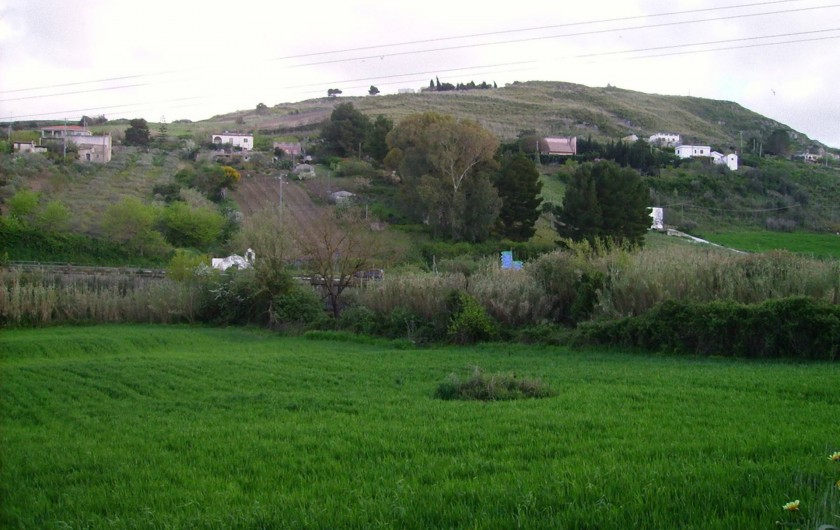 Location de vacances - Villa à Calatafimi - un champ de blé sur la propriété