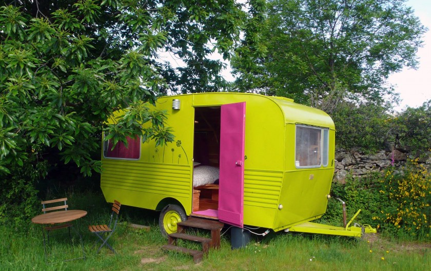 Location de vacances - Camping à Saint-Julien-du-Gua - La caravane « deux places » dans son écrin de verdure
