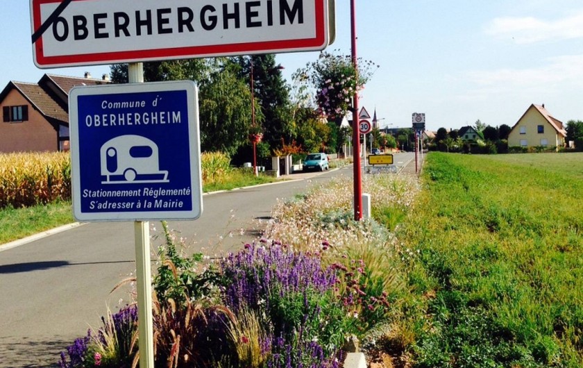 Location de vacances - Appartement à Oberhergheim - L'entrée du village