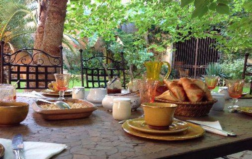 Location de vacances - Chambre d'hôtes à Fabrègues - Une vue gourmande du petit-déjeuner à l'ombre des palmiers.