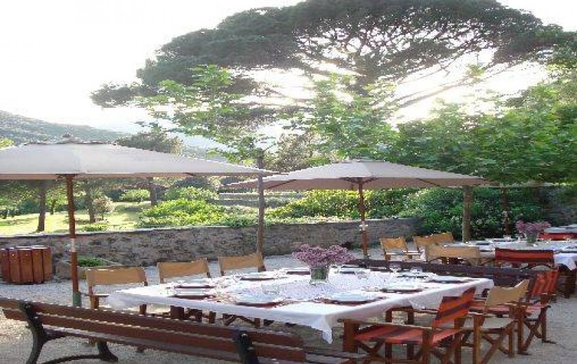 Location de vacances - Gîte à Vieussan - terrasse extérieure du grand gîte pour des repas en famille et entre amis