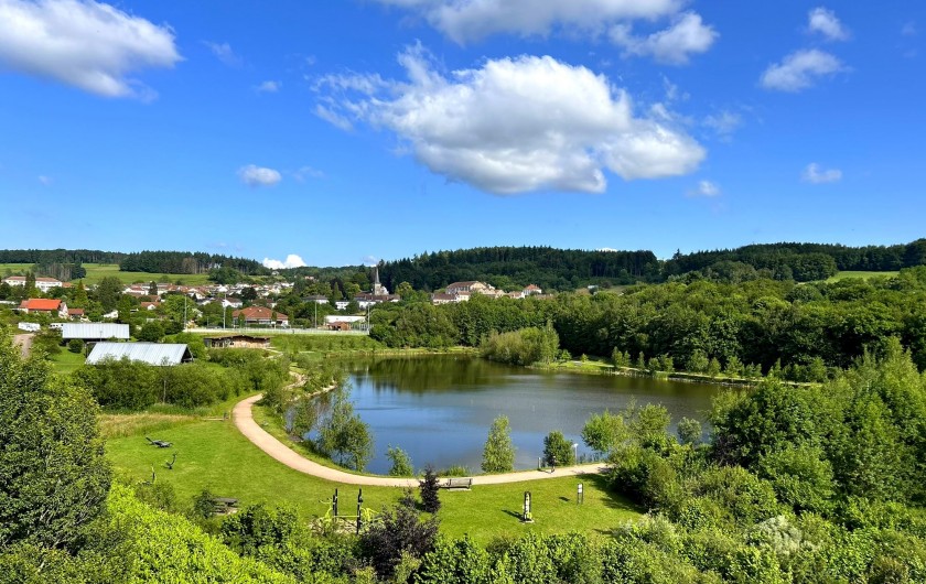 Location de vacances - Chalet à Xertigny