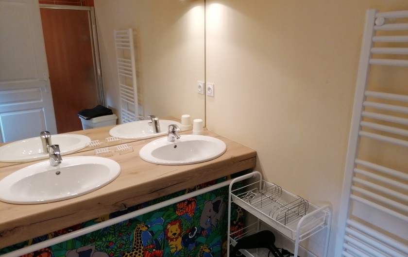 Location de vacances - Gîte à Pomeys - La salle d'eau avec 2 lavabos, sèche-serviettes et sèche - cheveux.