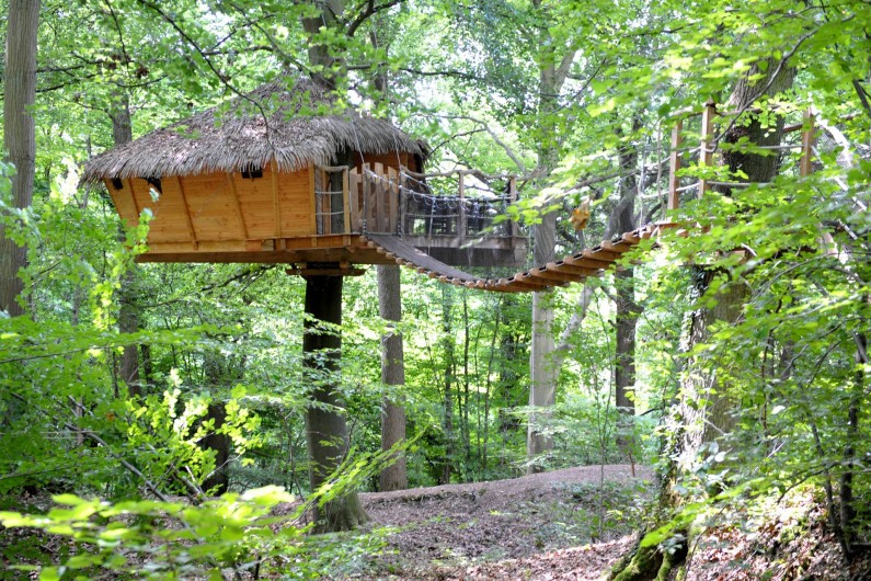 Location de vacances - Cabane dans les arbres à Saint-Germain-des-Essourts - Cabane "Canyon"