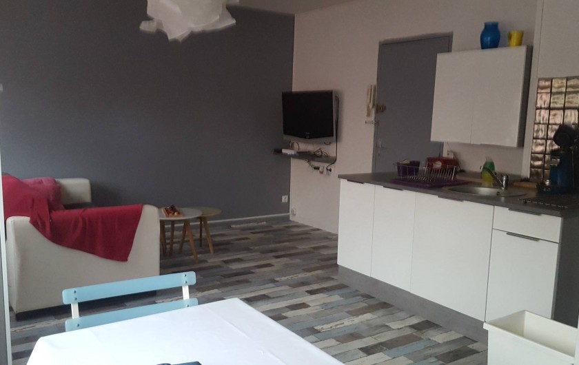Location de vacances - Appartement à Saint-Étienne - Vous êtes dans le salon ouvert  sur cuisine  avec tout les équipements