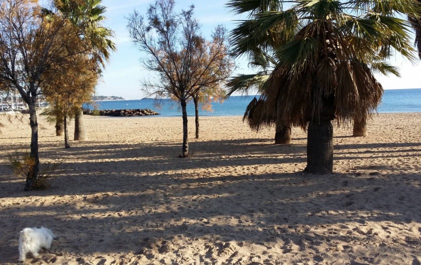 Location de vacances - Appartement à Fréjus Plage - plage frejus coté base nature a 500m