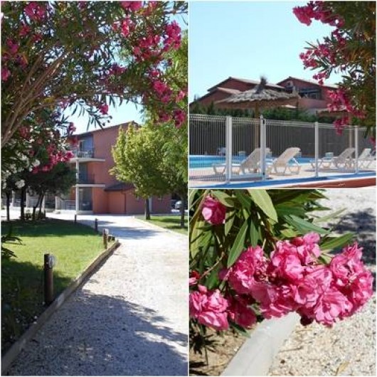 Location de vacances - Appartement à Alénya - Vue de l'ensemble avec piscine