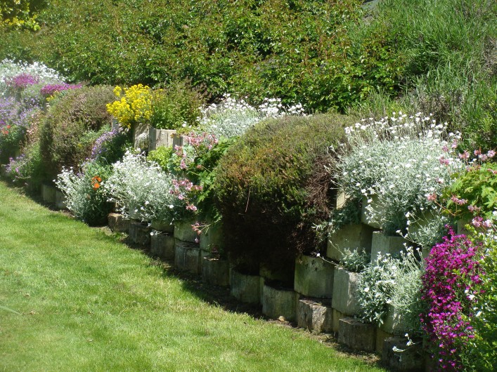 Location de vacances - Gîte à Arromanches-les-Bains - fleurs vivaces