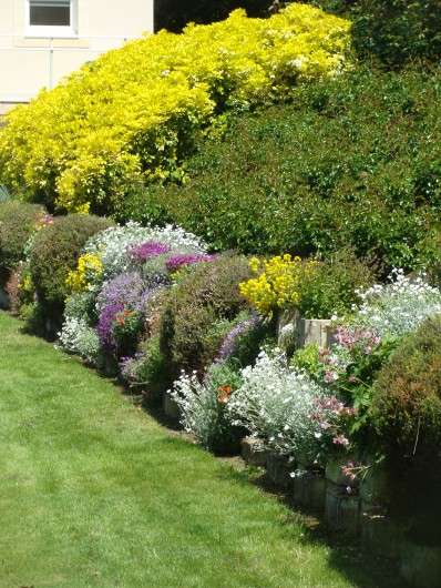 Location de vacances - Gîte à Arromanches-les-Bains - fleurs vivaces