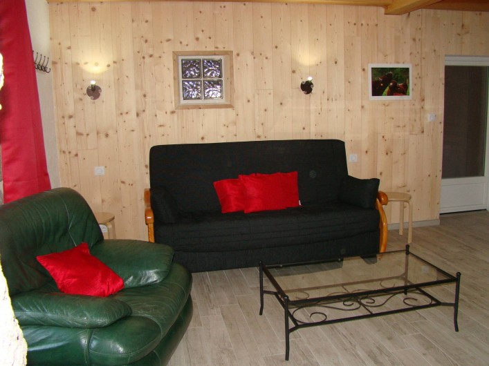 Location de vacances - Gîte à Marchastel - rez-de-chaussée : salon avec canapé convertible