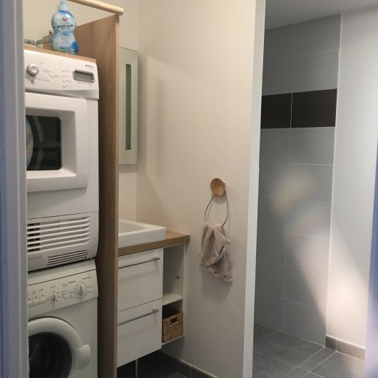 Location de vacances - Appartement à Villelaure - salle de douche avec vasque équipée d'un lave linge et d'un sèche linge