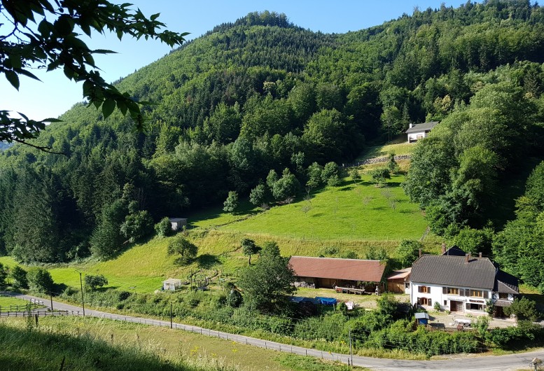 Location de vacances - Gîte à Rombach-le-Franc - Propriété du Creux Chêne