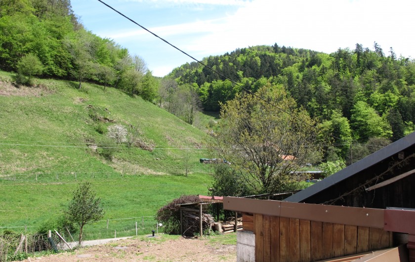 Location de vacances - Gîte à Rombach-le-Franc - Vue de la terrasse du gîte