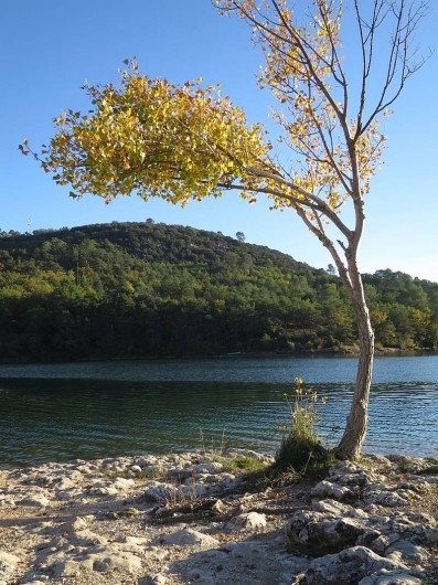 Location de vacances - Mas à Esparron-de-Verdon - Le lac en toute tranquilité
