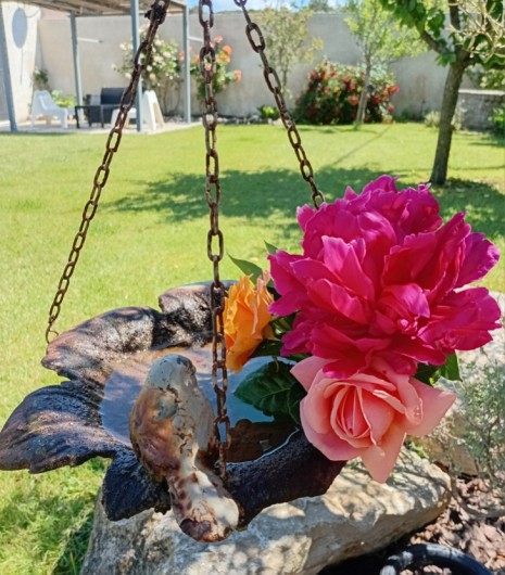 Location de vacances - Gîte à L'Isle-sur-la-Sorgue - Miroir des Oiseaux