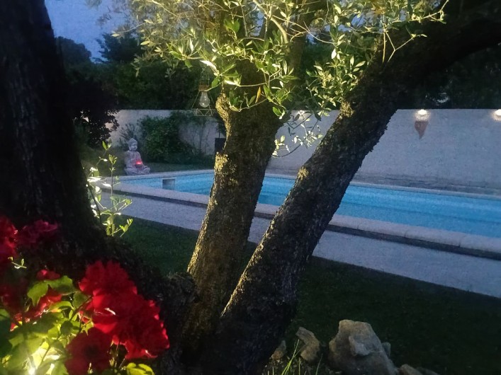 Location de vacances - Gîte à L'Isle-sur-la-Sorgue - Les arbres s'illuminent