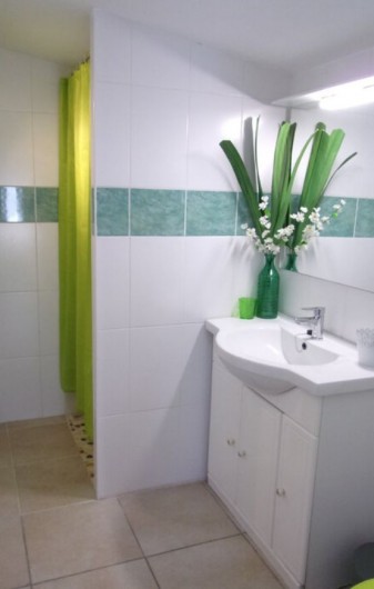 Location de vacances - Gîte à L'Isle-sur-la-Sorgue - Salle de douche